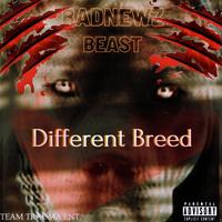 BADNEWZ BEAST's avatar cover