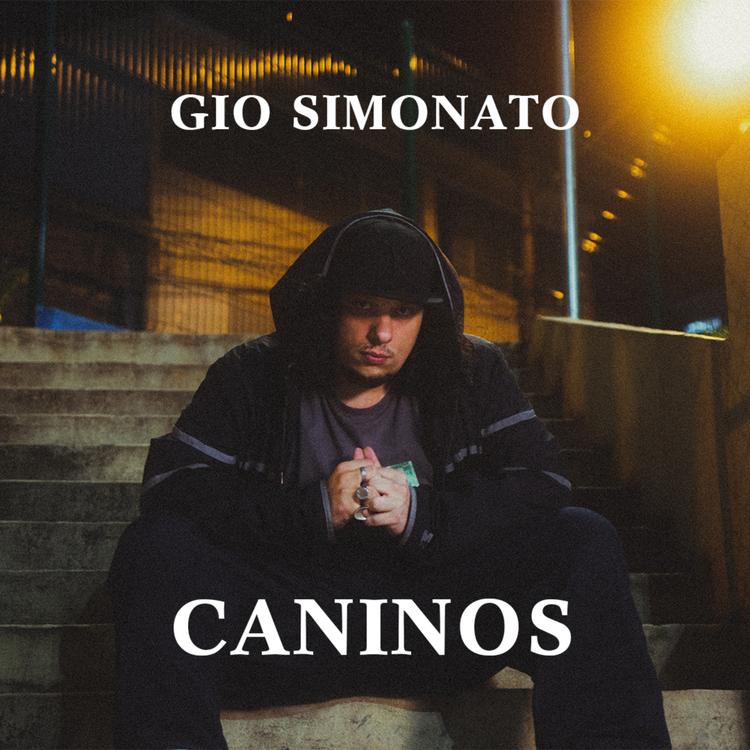 Gio Simonato's avatar image