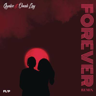 Forever (Remix)'s cover