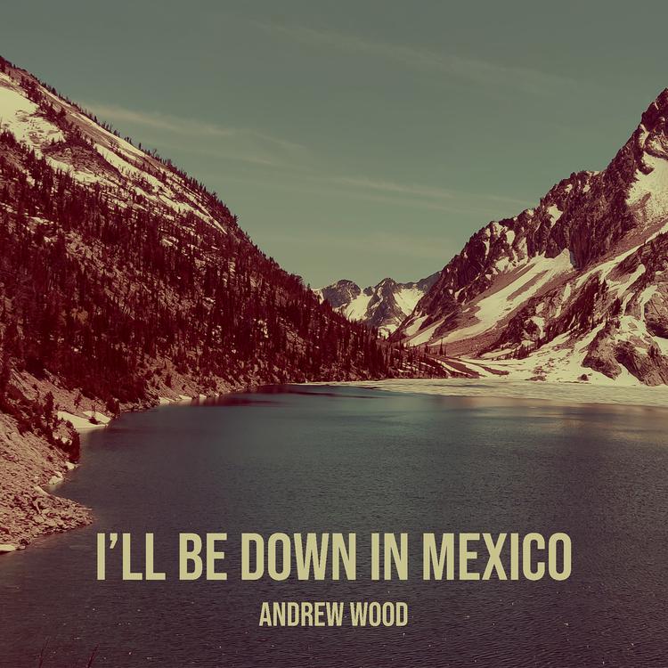 Andrew Wood's avatar image