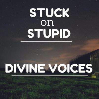 Stuck on Stupid's cover