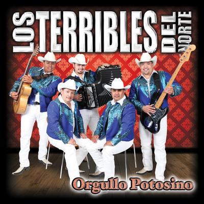 Orgullo Potosino's cover