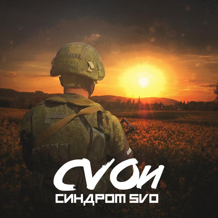 Svoй's avatar image