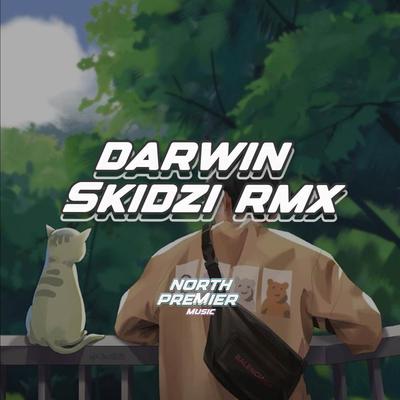 Darwin Skidzi Rmx's cover
