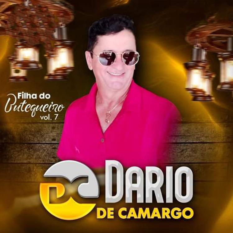 Dario De Camargo's avatar image