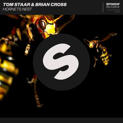 Hornets Nest By Tom Staar, Brian Cross's cover