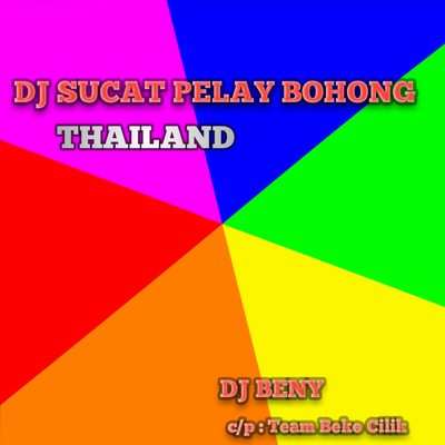 DJ SUCET PELAY BOHONG THAILAND's cover