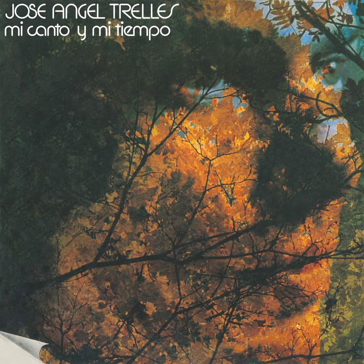 Jose Angel Trelles's avatar image