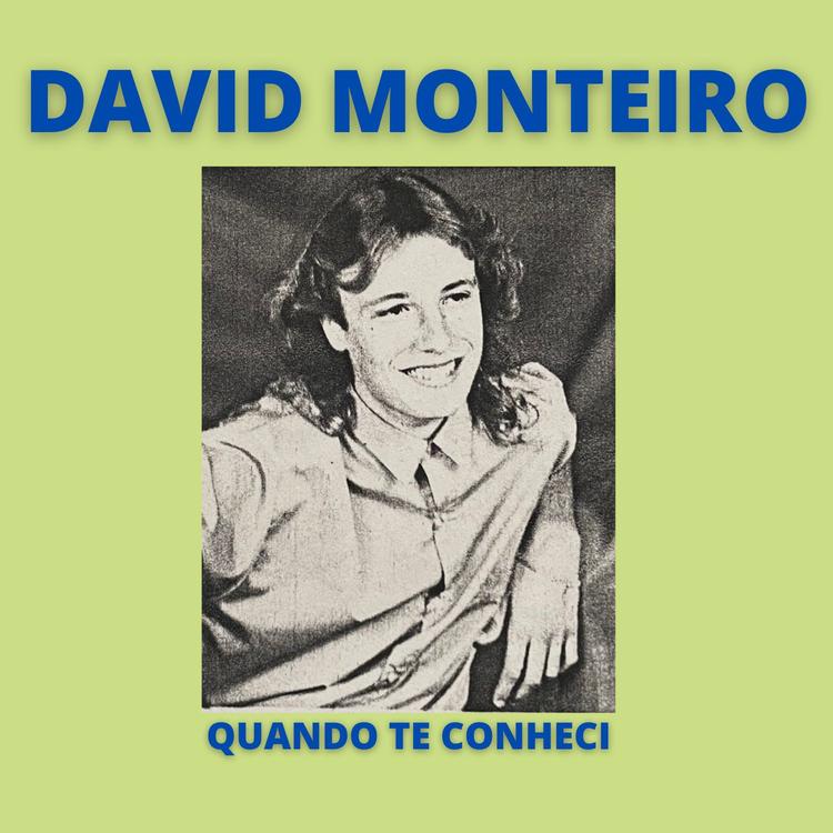 David Monteiro's avatar image