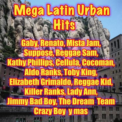 Ragga Force (Megamix) [feat. Aldo Ranks, Toby King, Reggae Kid, Tany D., El Padrino & Rude Boy]'s cover