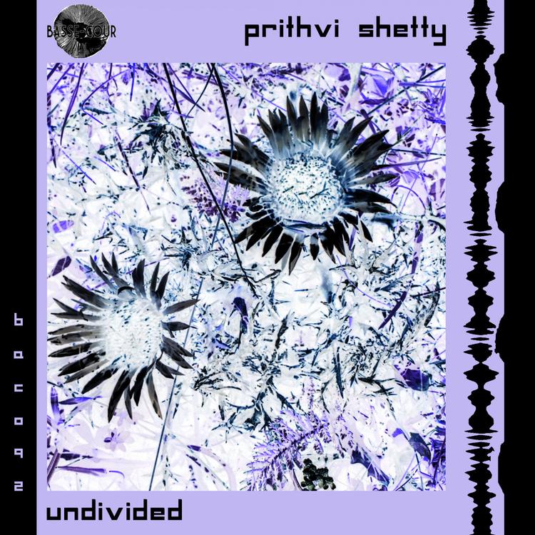 Prithvi Shetty's avatar image