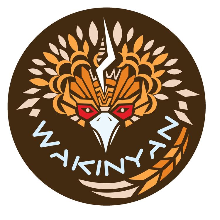 Wakinyan's avatar image
