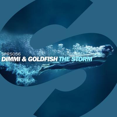 The Storm (Radio Edit) By GoldFish, Dimmi's cover