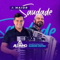 Aldinho do Acordeon's avatar cover