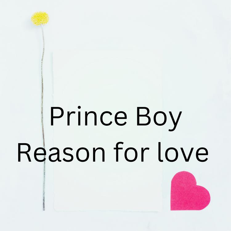 Prince Boy's avatar image