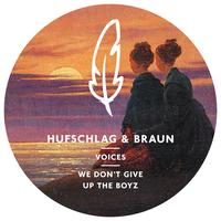 Hufschlag & Braun's avatar cover