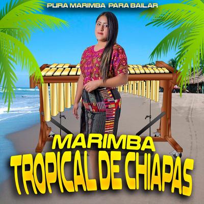 Marimba Mix's cover
