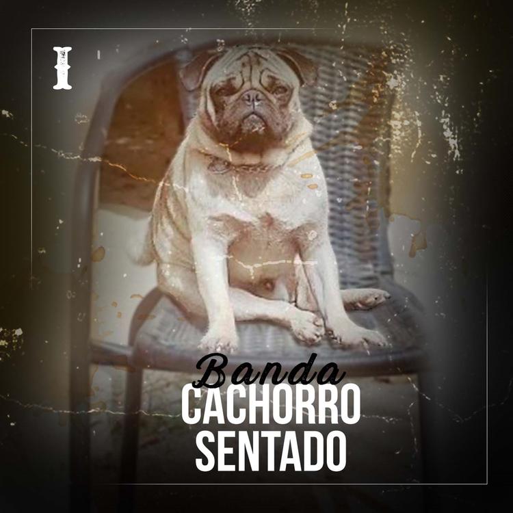 Banda Cachorro Sentado's avatar image