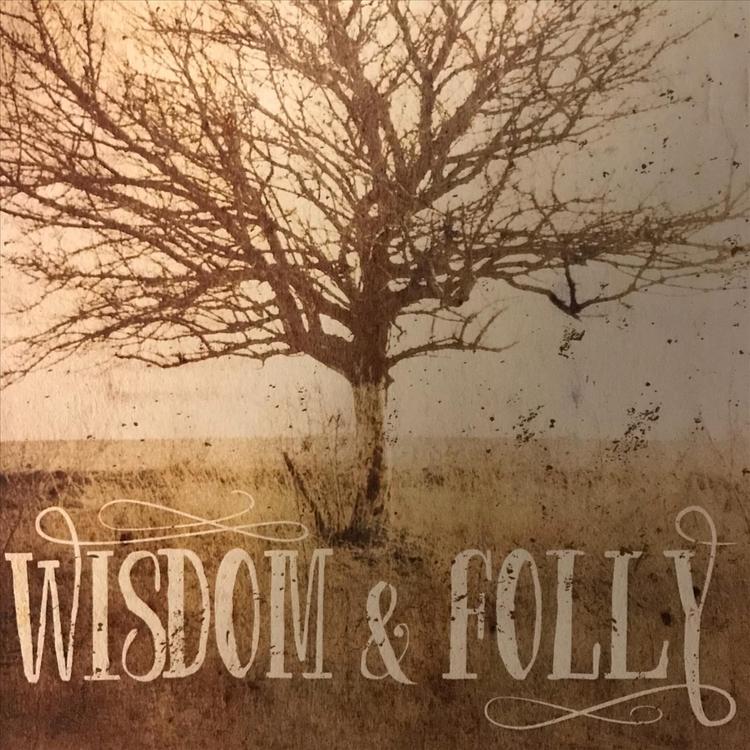 Wisdom & Folly's avatar image