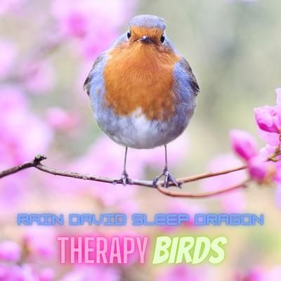 Rest Bird Sounds Anti Stress Loopable's cover