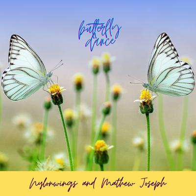 Butterfly Dance By Nylonwings, Mathew Joseph's cover