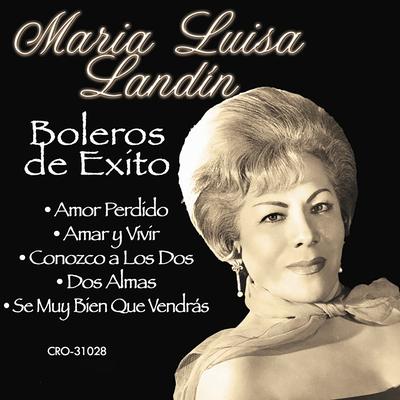 Amar y Vivir By Maria Luisa Landín's cover