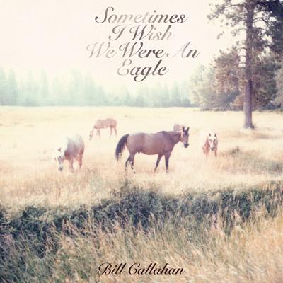 Too Many Birds By Bill Callahan's cover