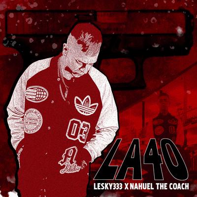 Lesky 333's cover