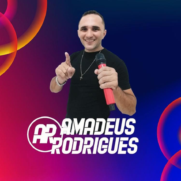 Amadeus Rodrigues's avatar image