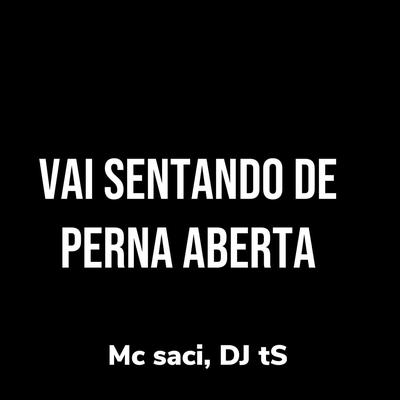 Vai Sentando De Perna Aberta By DJ TS, MC Saci's cover