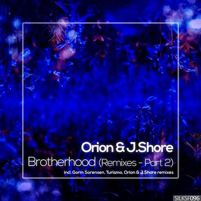 Brotherhood (Remixes, Pt. 2)'s cover