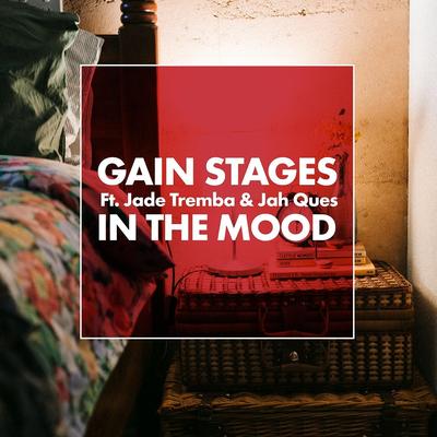 Gain Stages's cover