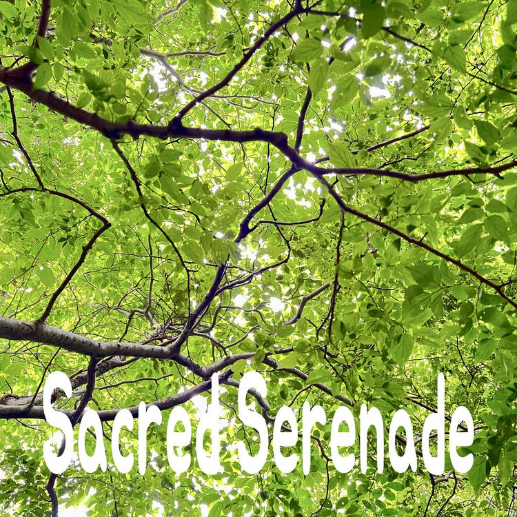 Sacred Serenade's avatar image