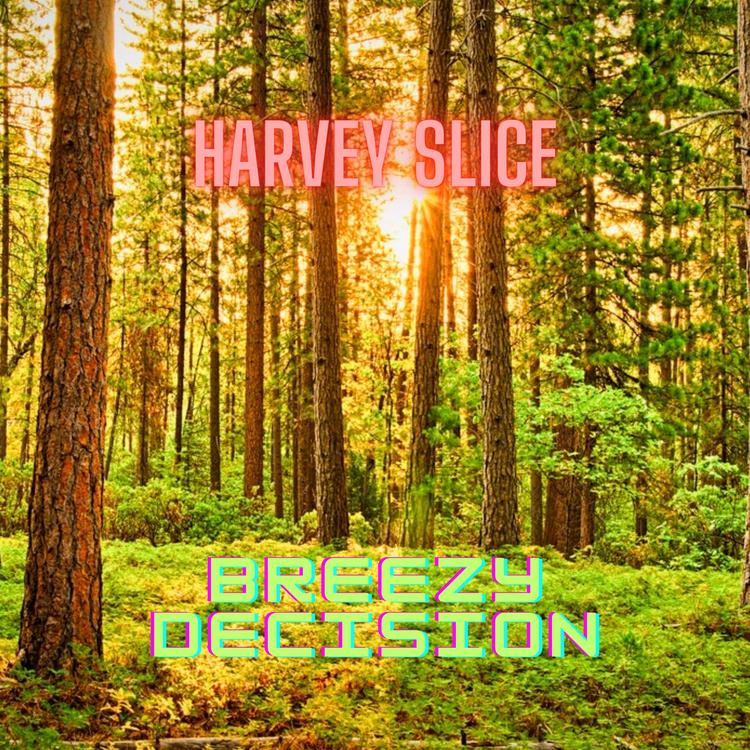 Harvey Slice's avatar image