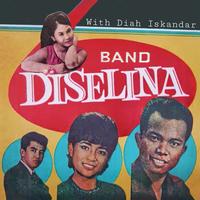 Diselina Band's avatar cover