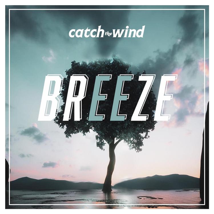 Catch the Wind's avatar image