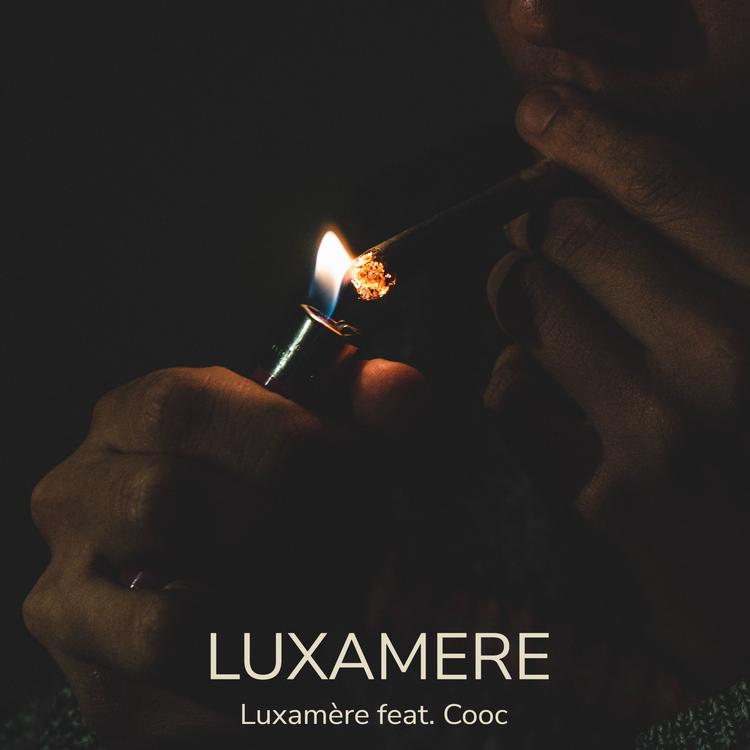 Luxamère's avatar image