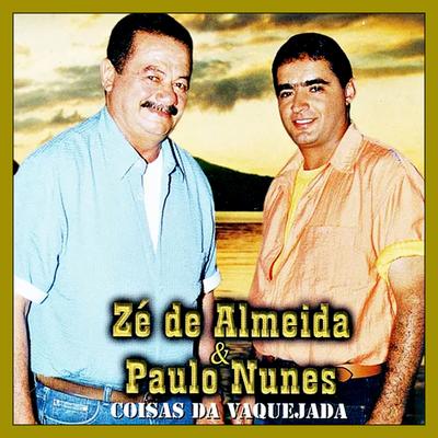 Zé Almeida's cover