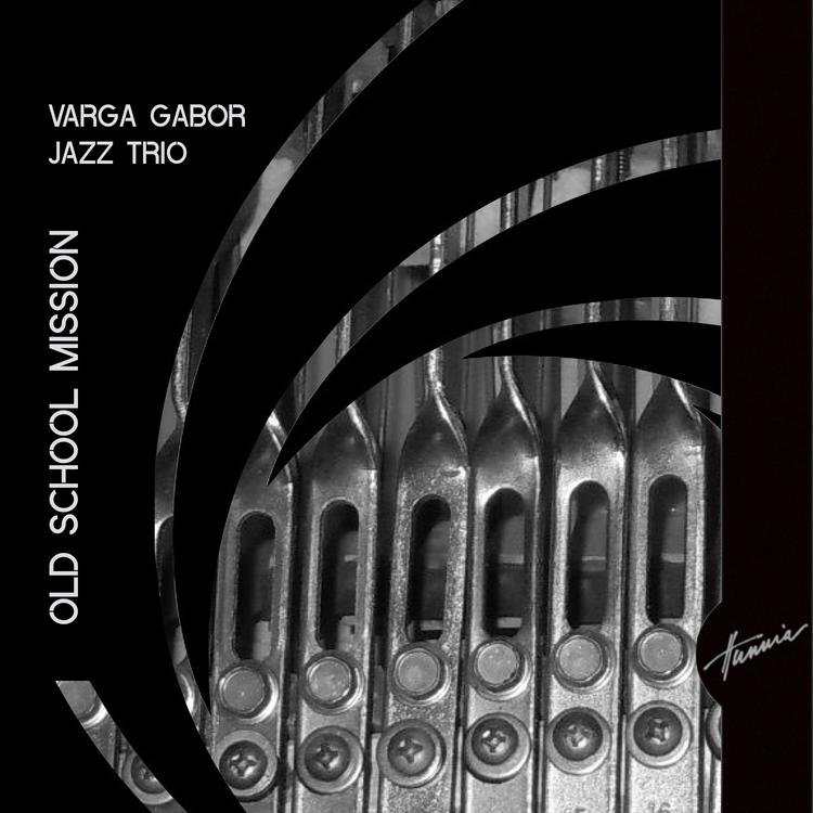 Varga Gabor Jazz Trio's avatar image