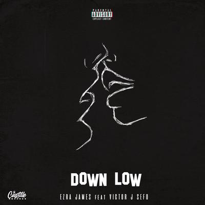 DOWN LOW's cover