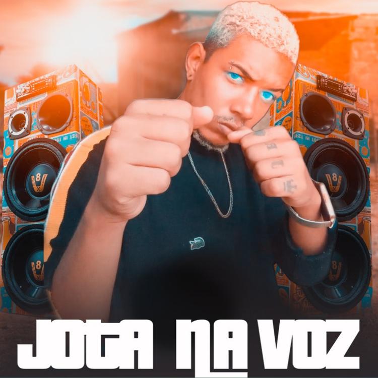 JOTA NA VOZ's avatar image