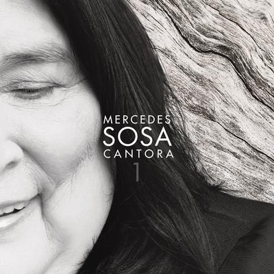 Sea (with Jorge Drexler) By Mercedes Sosa's cover