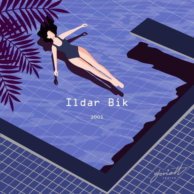 Ildar Bik's avatar image