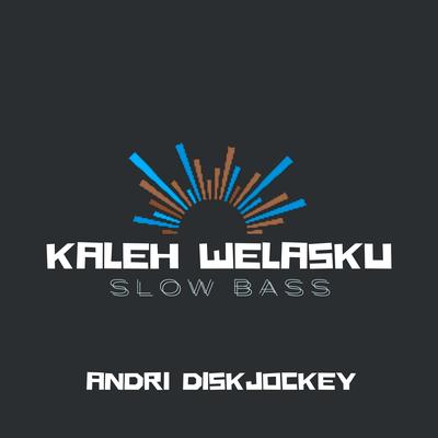 ANDRI DISKJOCKEY's cover