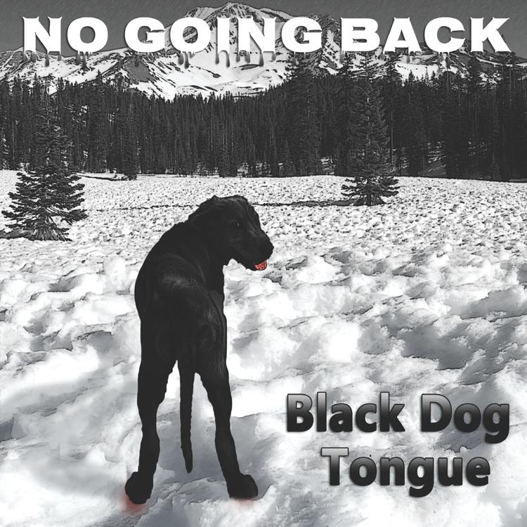 Black Dog Tongue's avatar image