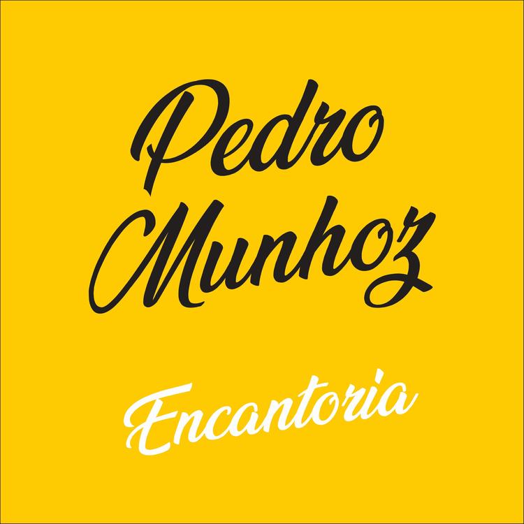 Pedro Munhoz's avatar image