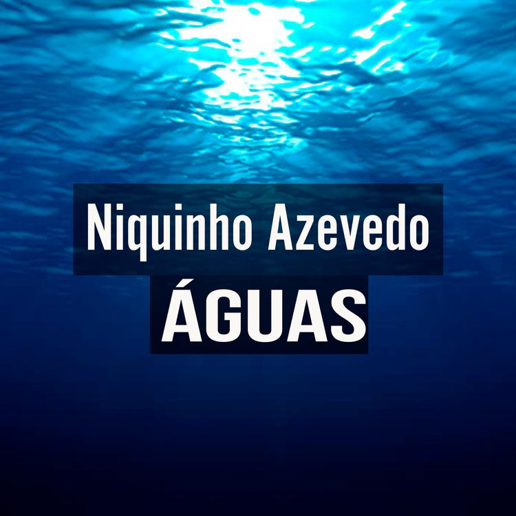 Niquinho Azevedo's avatar image