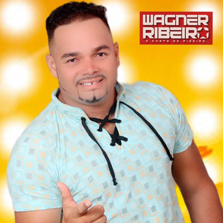 Wagner Ribeiro's avatar image