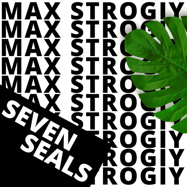 Max Strogiy's avatar image