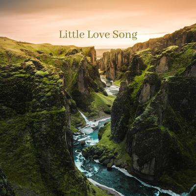 Little Love Song By Ward De Vleeschhouwer, Peter Verdonck's cover